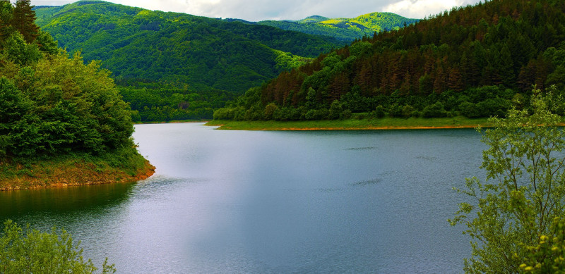 Снимка на новина 12030