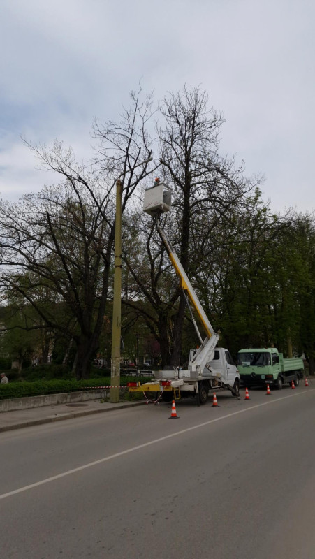 Снимка на новина 13225