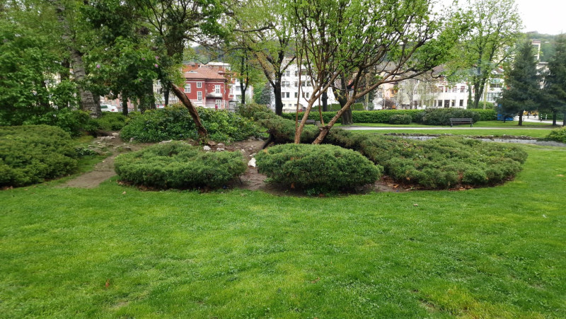 Снимка на новина 12020