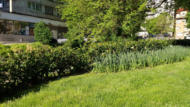 Снимка на новина 12148