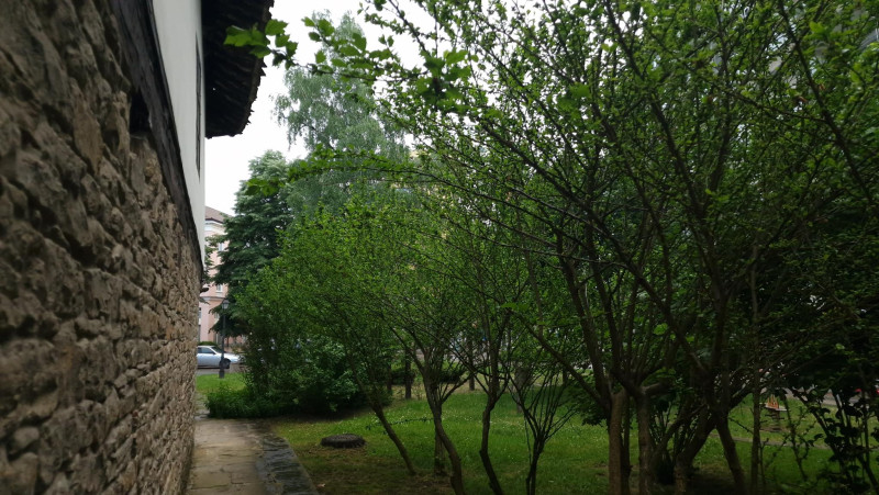 Снимка на новина 12059