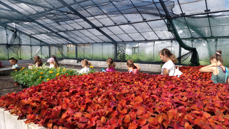 Снимка на новина 12684