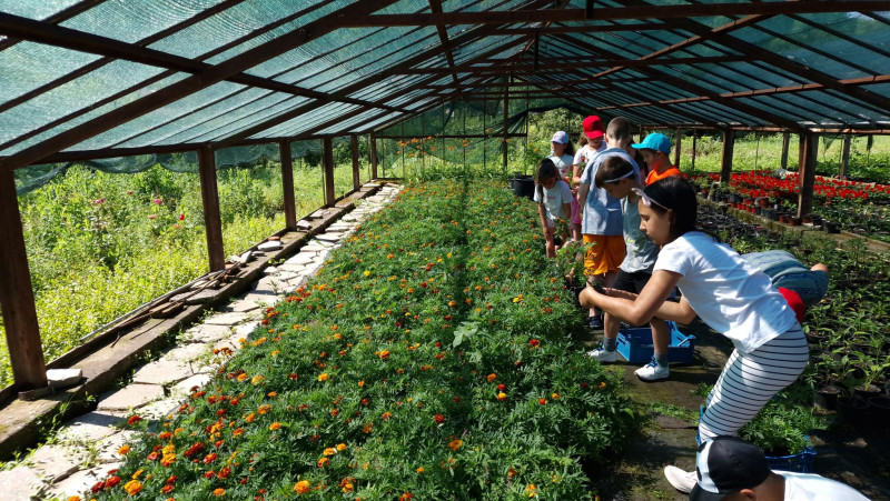 Снимка на новина 12062