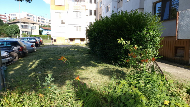 Снимка на новина 12069