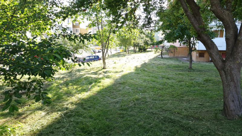 Снимка на новина 12177