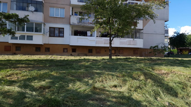 Снимка на новина 12061