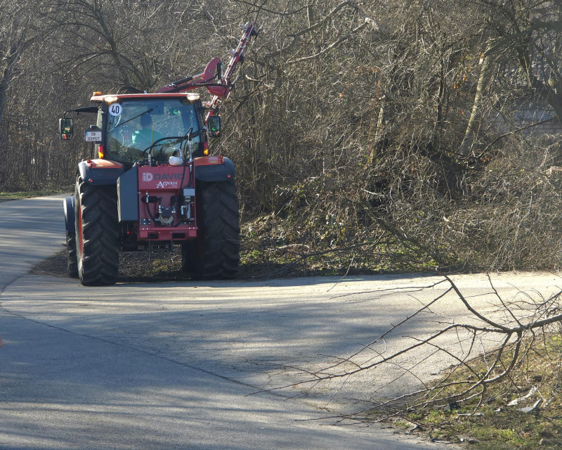 Снимка на новина 13321