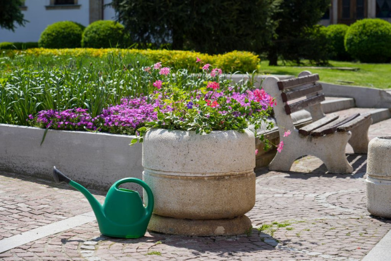 Снимка на новина 11942