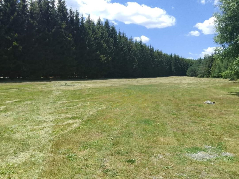 Снимка на новина 12087