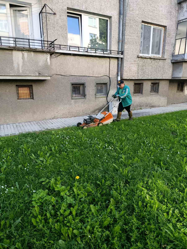 Image for График за косене на тревните площи на територия...