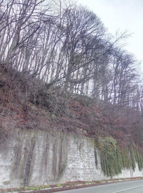 Снимка на новина 10884