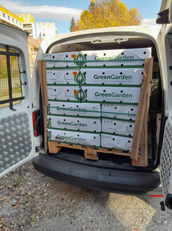 Снимка на новина 11543