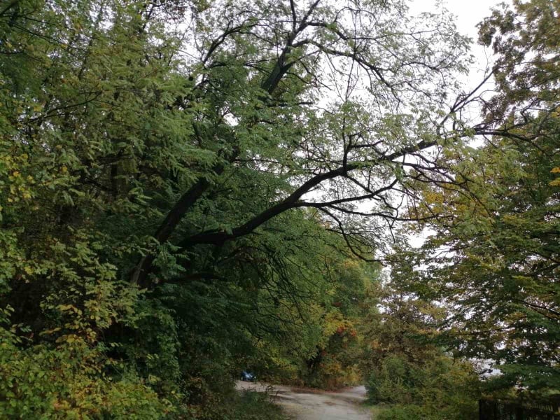 Снимка на новина 10770