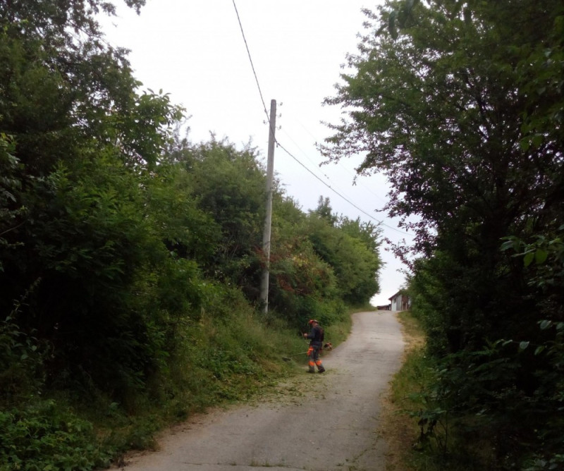 Снимка на новина 12028