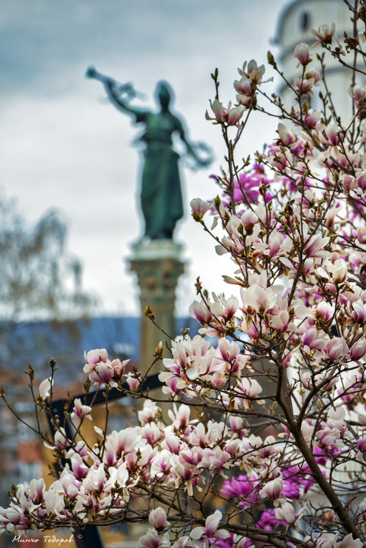 Снимка на новина 12100