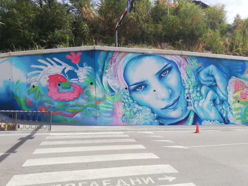 Снимка на новина 11043