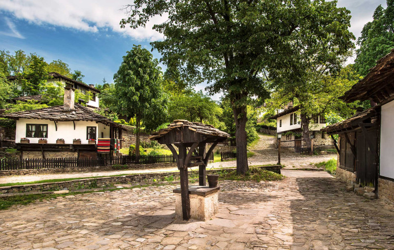 Снимка на новина 11527