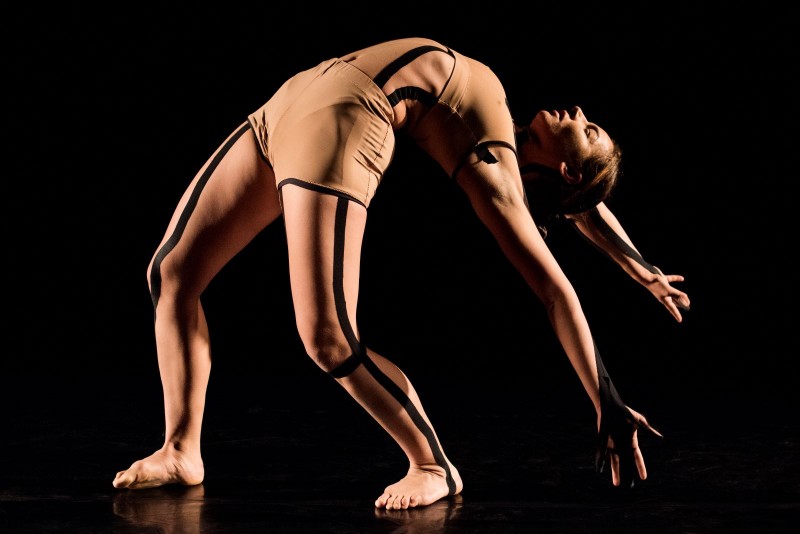 Снимка на новина 10333