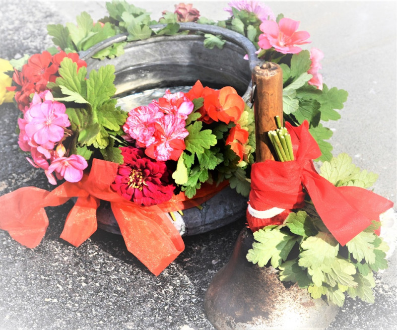 Снимка на новина 11447