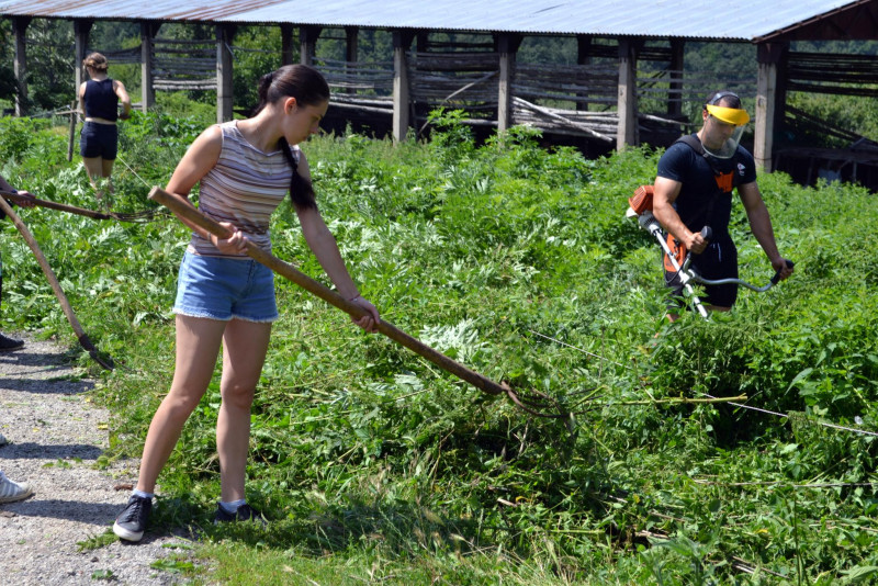 Снимка на новина 11472