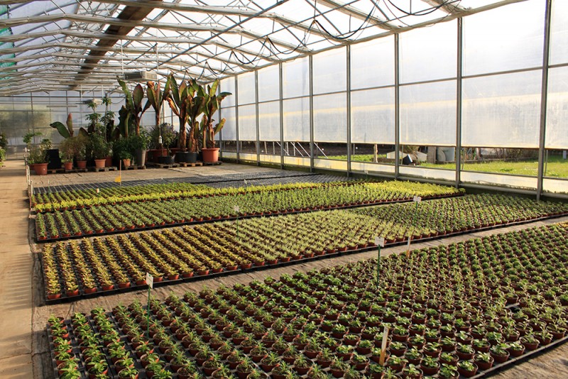 Снимка на новина 5888