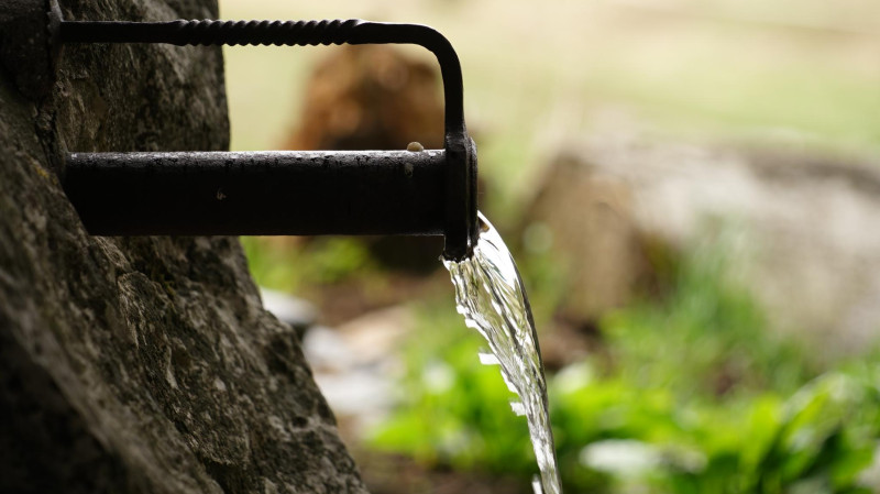 Снимка на новина 11341