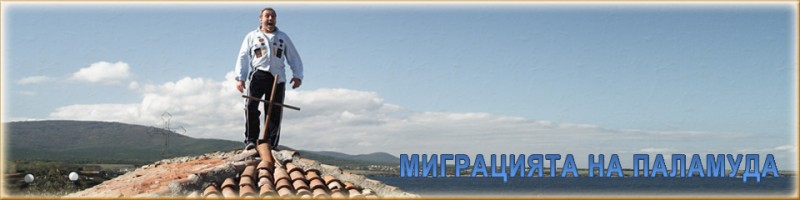 Снимка на новина 1580