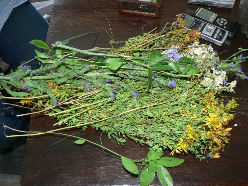 Снимка на новина 1682