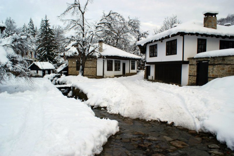 Снимка на новина 2229