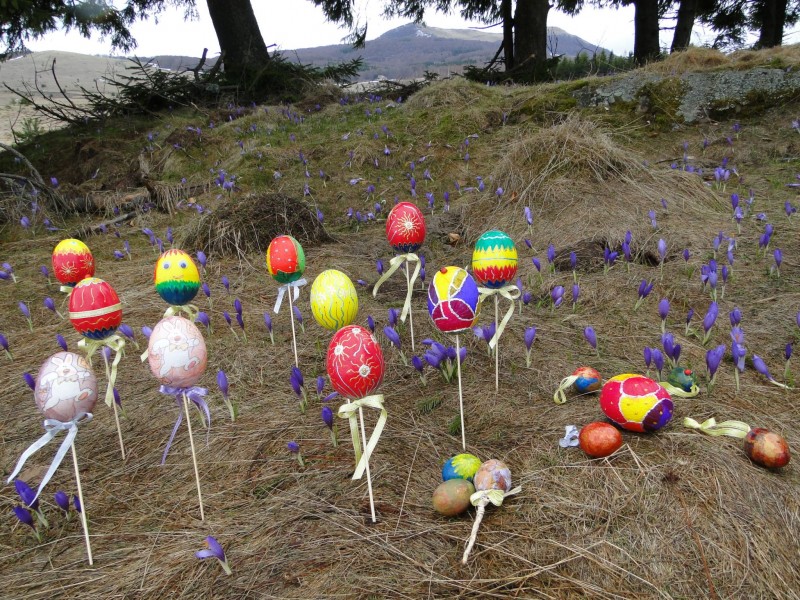 Снимка на новина 2419