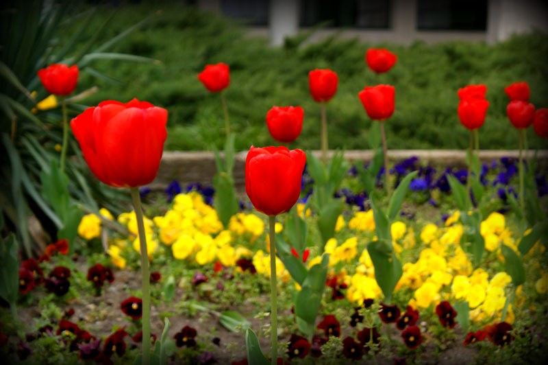 Снимка на новина 2429