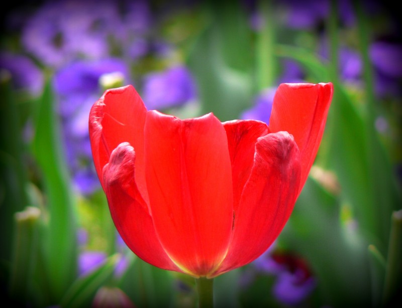 Снимка на новина 2360