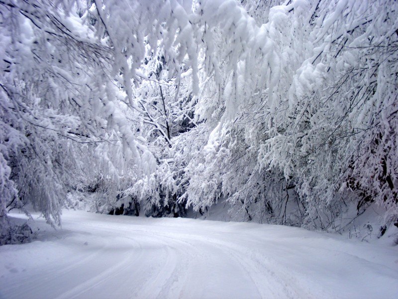 Снимка на новина 3195