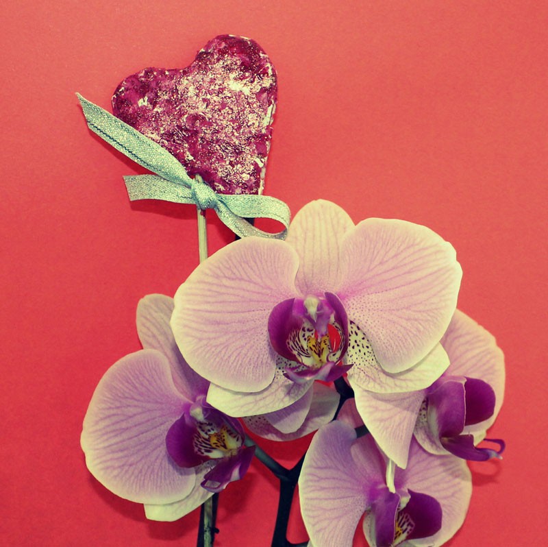 Снимка на новина 3207