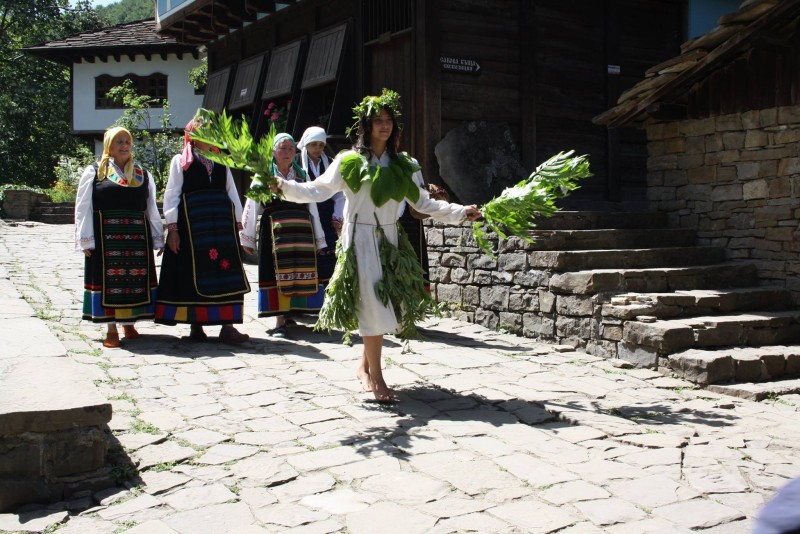 Снимка на новина 4457