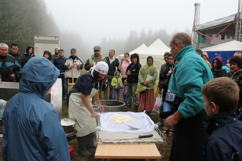 Снимка на новина 4452