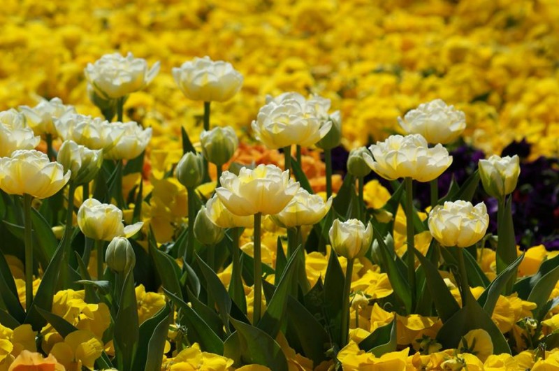 Снимка на новина 4878