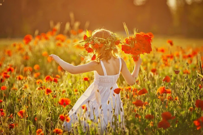 Снимка на новина 6981