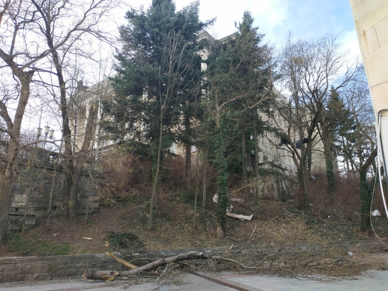 Снимка на новина 11697