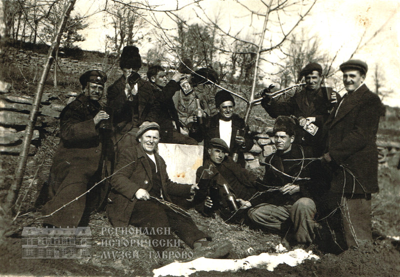 Снимка на новина 11719