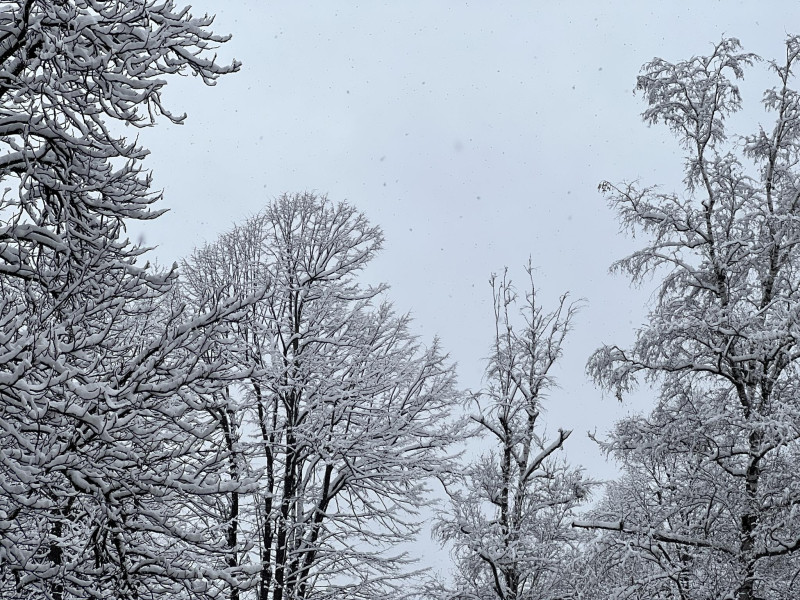 Снимка на новина 11735