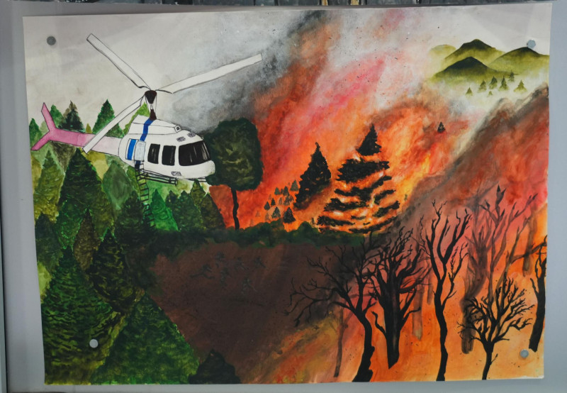 Снимка на новина 11865