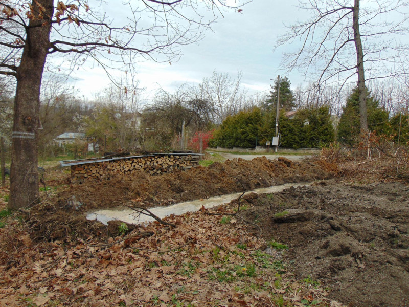 Снимка на новина 12888