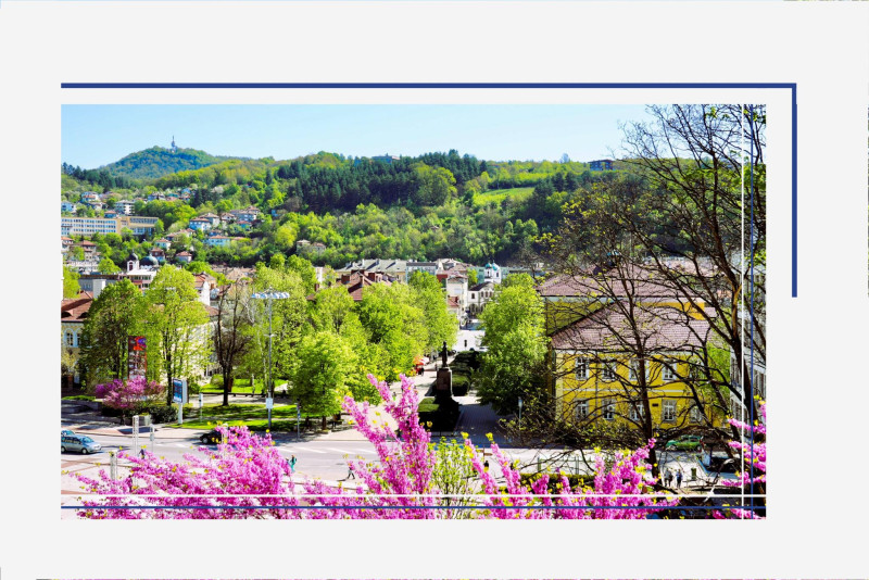 Снимка на новина 12676