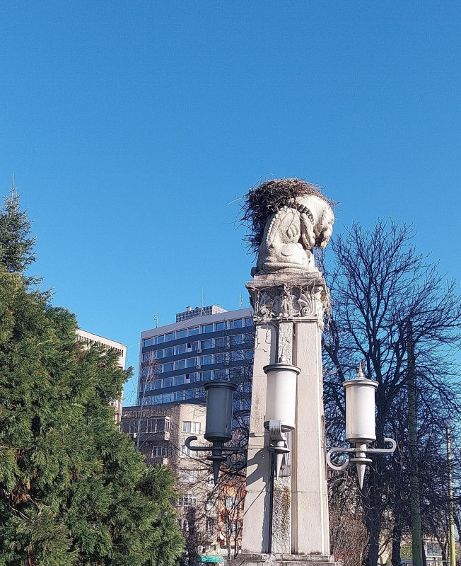 Снимка на новина 13340
