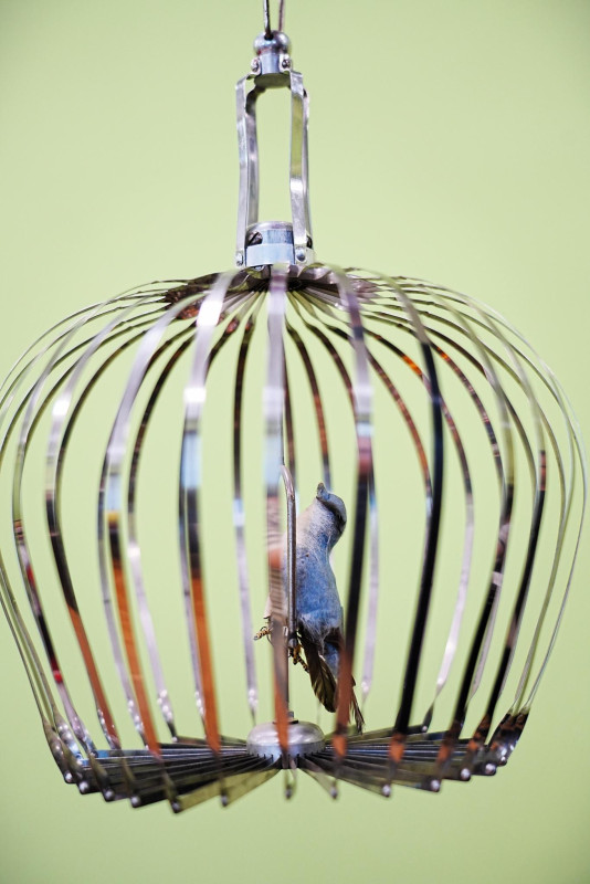 Снимка на новина 13322