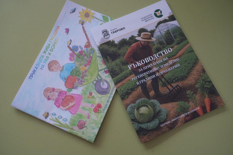 Снимка на новина 13947