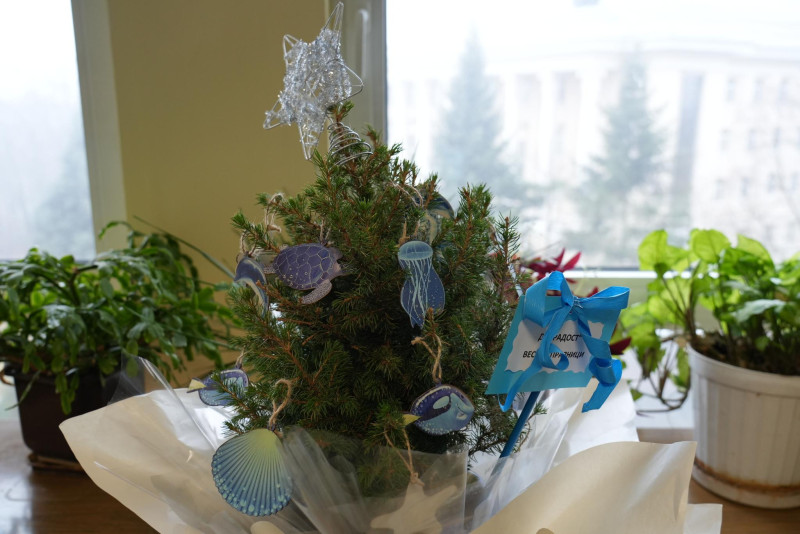 Снимка на новина 14011