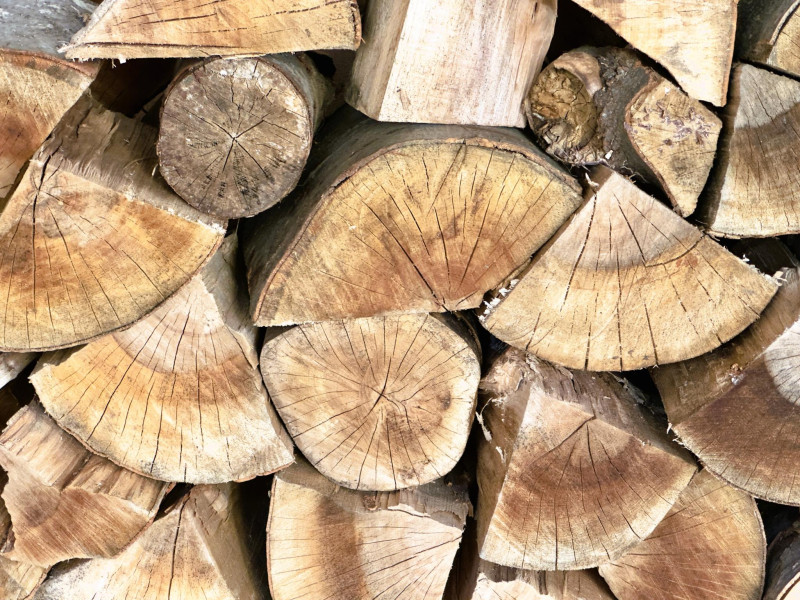 Image for Приемат се заявления за дърва за огрев