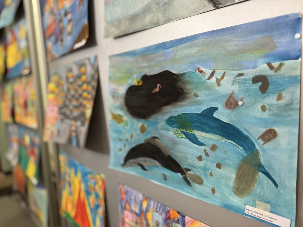 Снимка за 14255